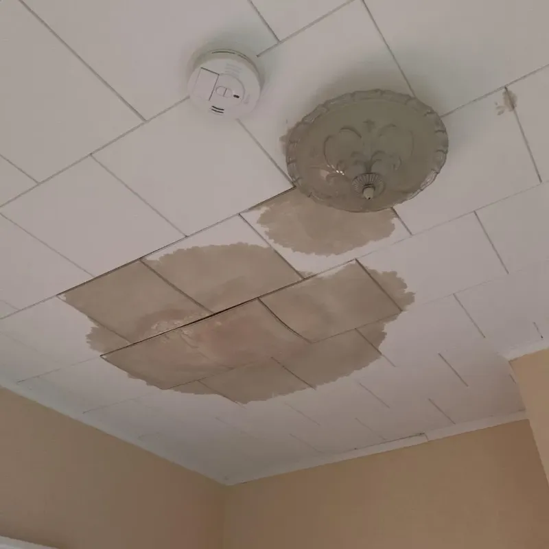 Ceiling Water Damage Repair in Capac, MI