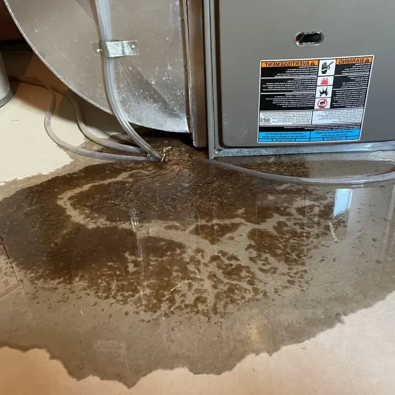 Pipe Burst and Leak Restoration in Capac, MI