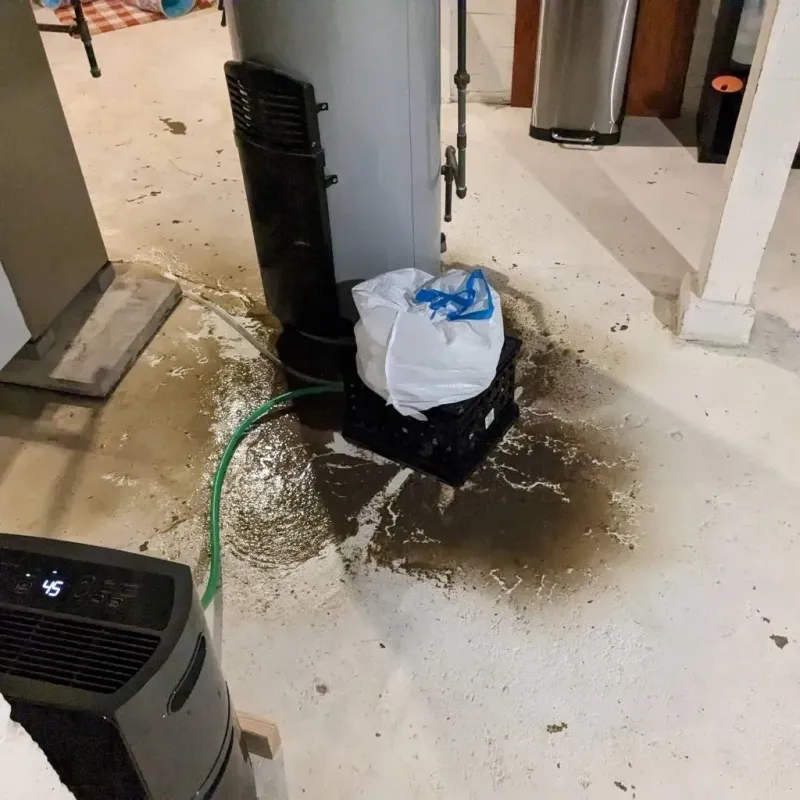 Sewage Backup Cleanup Service in Capac, MI